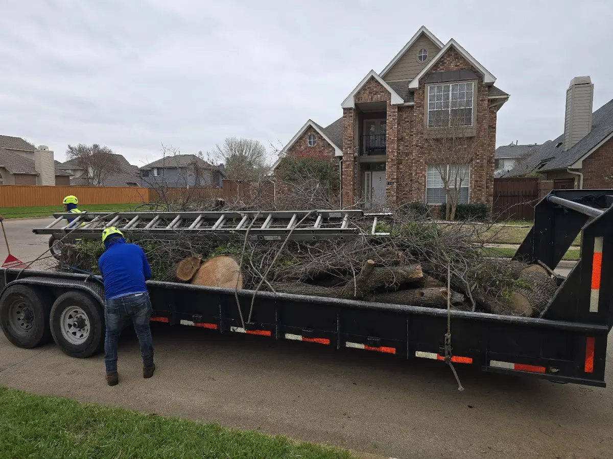 Expert Crown Reduction with proper safety equipment in Burr Oak